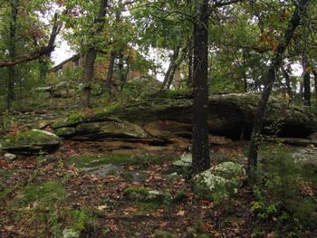 crosstimbers cliff cabin350WEB